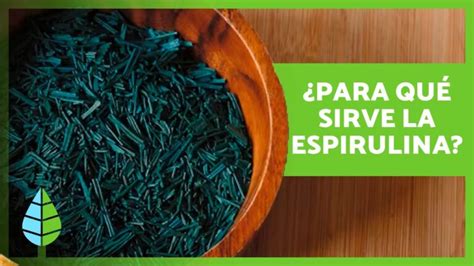 Descubre los increíbles beneficios de la espirulina Aprovecha sus