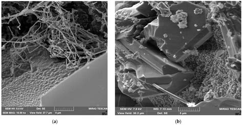 Processes Free Full Text Silicon Carbidesilicon Nitride Refractory