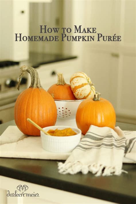 How To Make Pumpkin Purée Darling Darleen A Lifestyle Design Blog