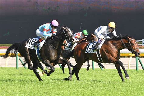 イクイノックスが天皇賞・秋で復帰 ドウデュースとダービー以来の直接対決へ 競馬ニュース・特集なら東スポ競馬