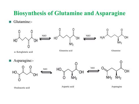 Biosynthetic Pathways Of Secondary Metabolites Ppt