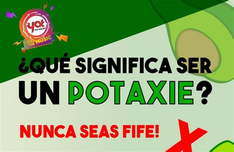 Qué significa ser un potaxie Acá te contamos Ya FM