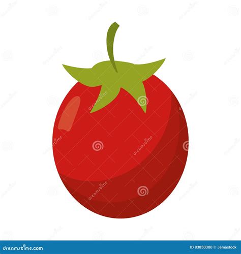 Nutrição Vegetal Da Dieta Do Tomate Ilustração do Vetor Ilustração de