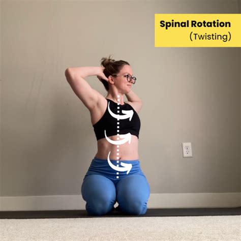 Back Stretches For Full Spinal Flexibility Dani Winks Flexibility