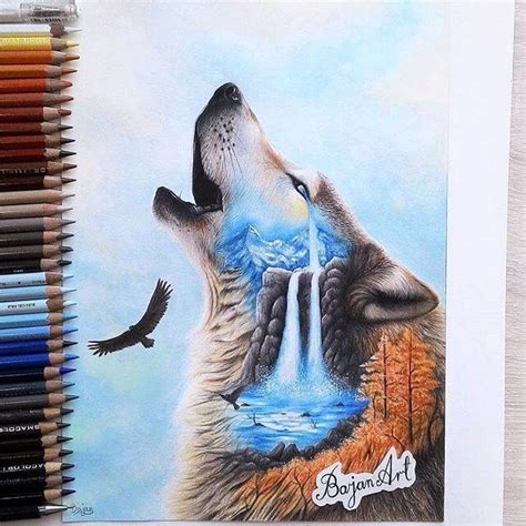 How To Draw A Wolf With Colored Pencils Draw Easy