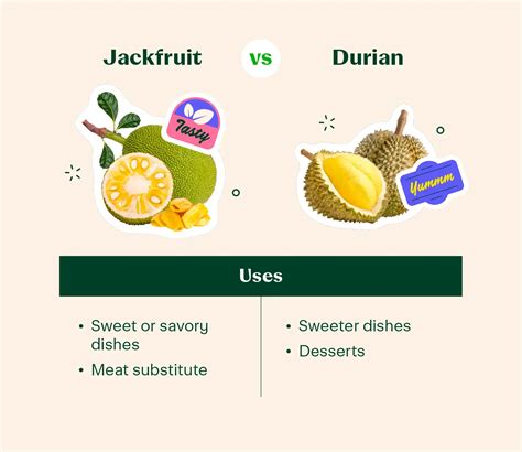 Jackfruit vs. Durian: Key Differences + Recipes – Instacart