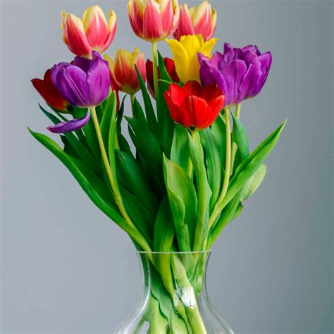 Tulips In A Glass Vase Wall Art | Photography