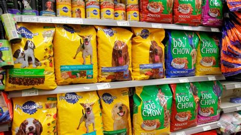 Las 10 Mejores Marcas De Alimento Para Perro