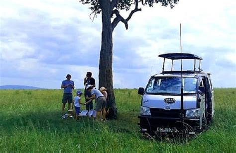 Masai Mara Picnic Lunch Bush Dinners Sundowners In Maasai Mara