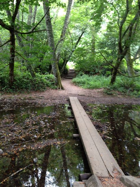 Muir Woods 2013 start of the Dipsea Trail | Muir woods, Muir, Trail