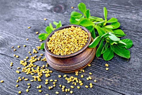 What You Need To Know About Fenugreek Leaves Benefits Femina In