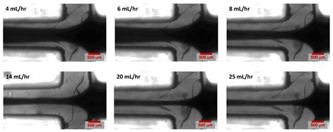 Processes For The 3d Printing Of Hydrodynamic Flow Focusing Devices