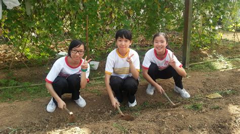 Building A Low Carbon Campus In Ssy Ho Fung College Organic Farm Visit