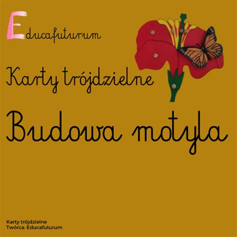 Budowa Motyla Karty Tr Jdzielne Educafuturum