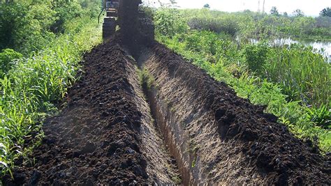 Lake Apopka Levee Repair | CMI Case Studies