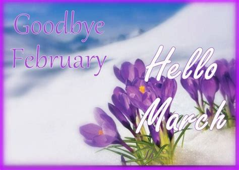 Goodbye February Hello March Hello March Hello March Images