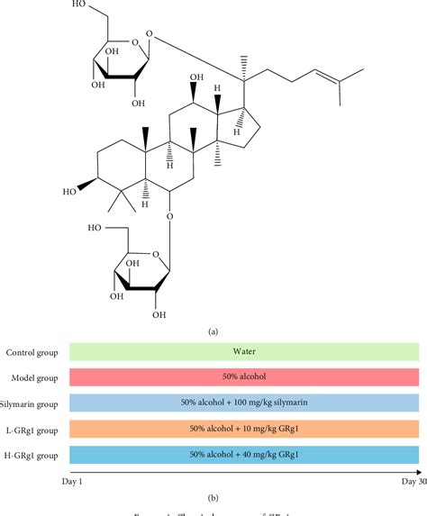 Figure 1 From Hepatoprotective Mechanism Of Ginsenoside Rg1 Against