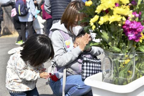 日本311大地震11週年 約3萬8000人持續避難生活 國際 中央社 Cna