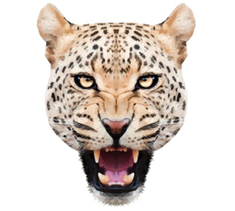 Leopard Jaguar Felidae Tiger - Angry leopard head png download - 600* ...