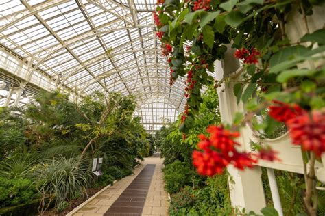 Londons Kew Gardens Planning Your Visit — The Empty Nest Explorers