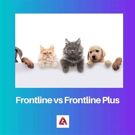 Frontline vs Frontline Plus: Difference and Comparison