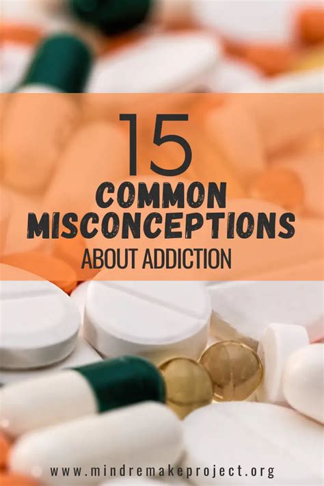 15 Common Misconceptions About Addiction Mind Remake Project