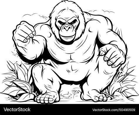 Gorilla Isolated On White Background Royalty Free Vector