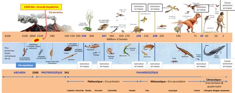 La biosphère un acteur géologique majeur Encyclopédie de l environnement