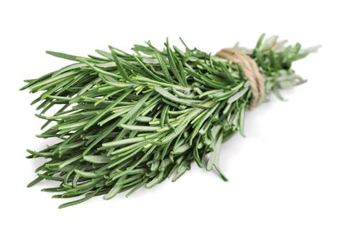 premium photo fresh herbs collection