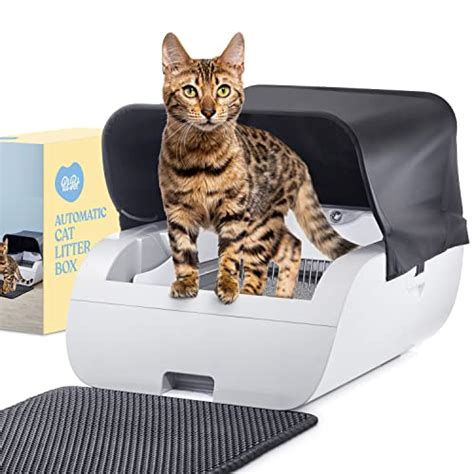 Best Self Cleaning Litter Boxes In Top Picks