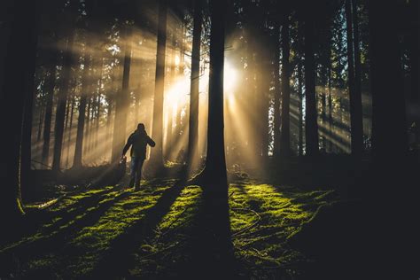 8 Of The Best Forest Walks In Ireland Outsider Magazine