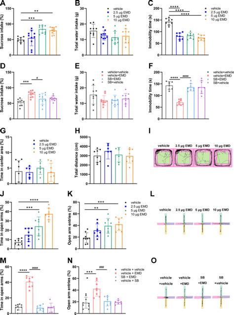 Activation Of Ht Receptors In The Ventrolateral Orbital Cortex