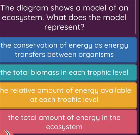 Solved The Diagram Shows A Model Of An Ecosystem What Does The Model Represent The