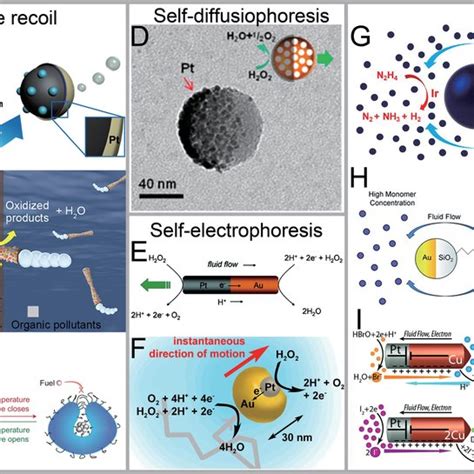 Micro Nanomotors Driven By Ultrasound Waves A Illustration Of The