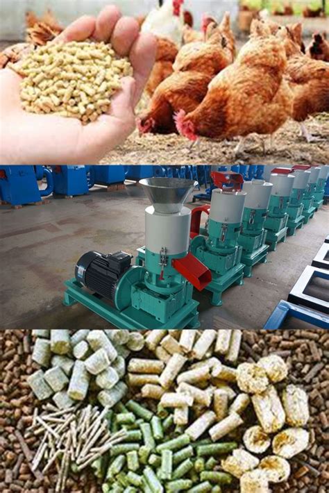 How To Design A Perfect Feed Formula For Broilers Poultry Farm