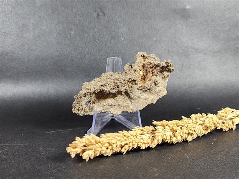 Fulgurite Lightning Glass Fulgurite Stone Lightning Strikes Sand Hollow Glass Tube Sahara