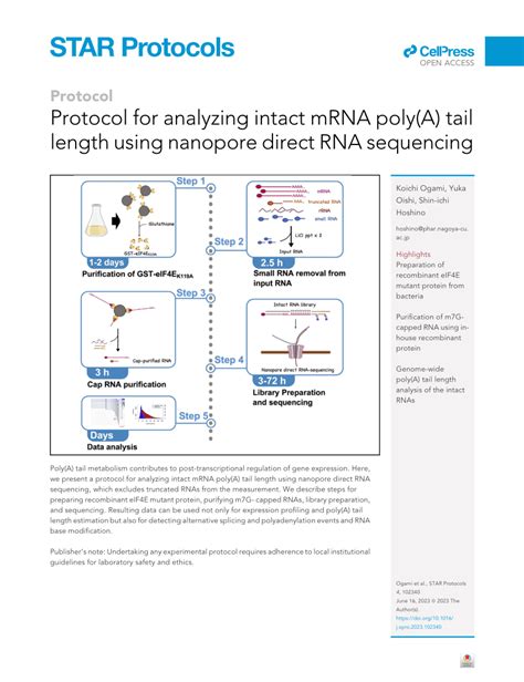 Pdf Protocol For Analyzing Intact Mrna Poly A Tail Length Using