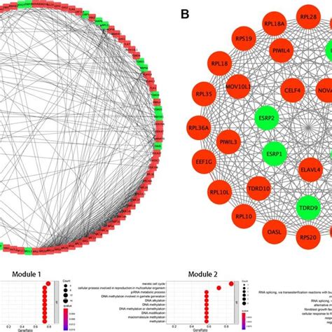 Protein Protein Interaction Ppi Network Construction And Modules