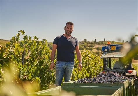 Vigneti I Nostri Filari Nella Zona Di Montepulciano Azienda Agricola