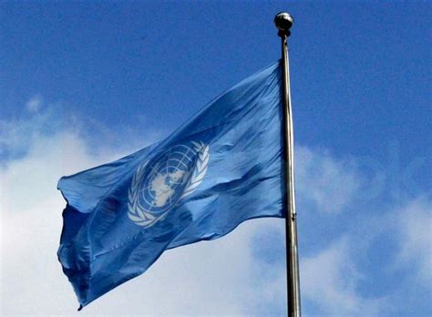 [Solved] The UN flag is ______ in colour.