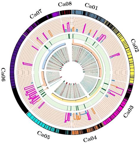 Frontiers High Confidence Qtls And Key Genes Identified Using Meta