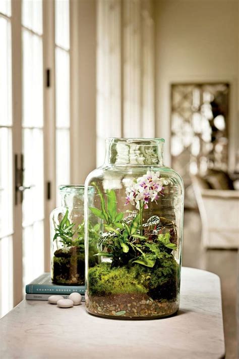 Create A Tabletop Terrarium Beautiful Terrariums How To Make