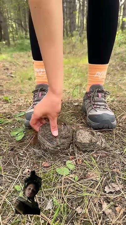 Shock😱 Girl Uses Cow Poop🐄💩camping Survival Bushcraft Outdoors