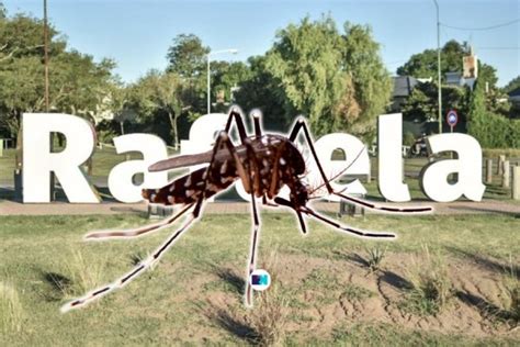 Dengue en Rafaela abrupto descenso en el número de casos Santa Fe