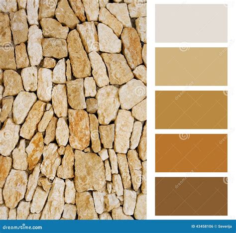 Stone Color Palette Royalty-Free Stock Image | CartoonDealer.com #43458106