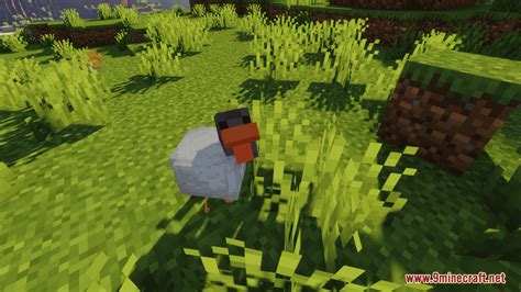 Minecraft Earth Chicken Resource Pack 1 20 6 1 20 1 Texture Pack