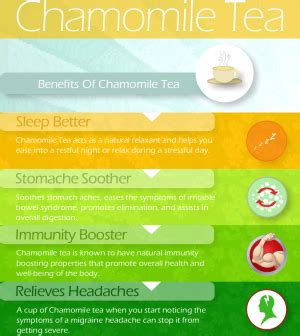 Learn About Health Benefits Of Chamomile Tea Infographic