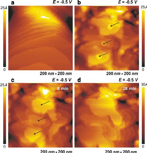 In Situ Stm Images Of Au At V In The Pure Py Fap A