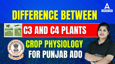 Difference Between C And C Plants Crop Physiology For Punjab Ado