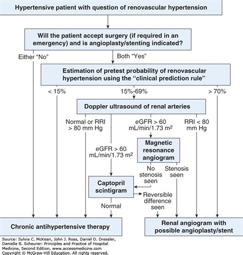 Diet-Induced Acidosis Is It Real And Clinically Relevant Questions - rutrackertogo